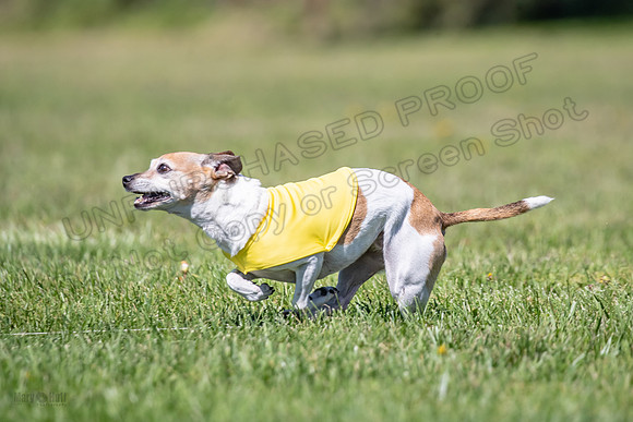 Rocki Girl-6498