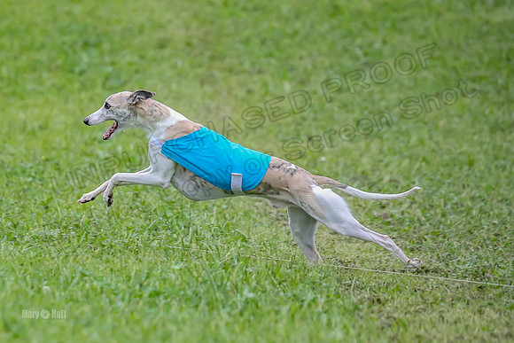 Prelim Open E1, Sid Emoji Bumble-4797