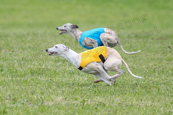 Prelim Veterans 3, Hattie Marley Jewel-0151