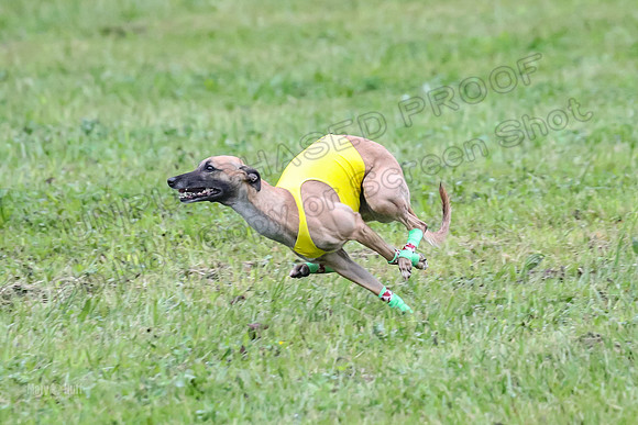 Prelim Open B5, Wiley Pippi Indy-8535