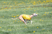 1Prelims Veterans 1 Rosa Marley Luna-1629
