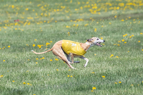 1Prelims Veterans 1 Rosa Marley Luna-1629