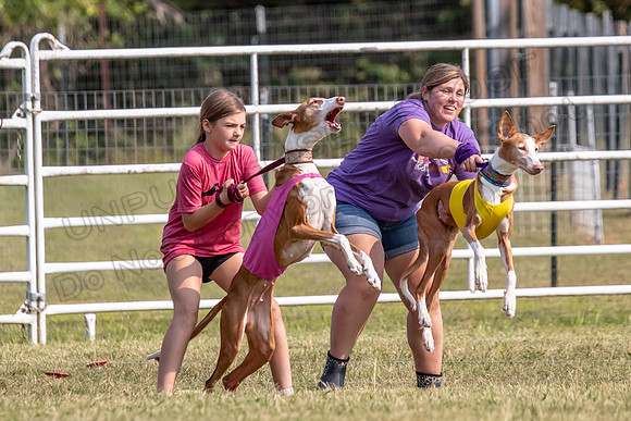 Finals Veteran Izzy Dawn-4238