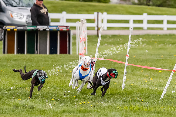 NOTRA Program 4, Race 1, Warrior Barley Flair Victor-2-11
