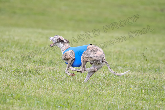 Prelim Open G1, Banshee Mystic Stoli-9432