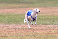 1 Prelims Open 1 AnnieOakley Fennec Zero-1213
