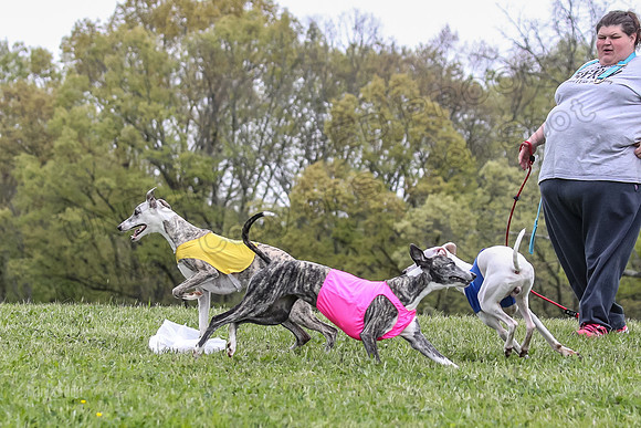 Finals Open C4, Ripley Prim Synner-0779