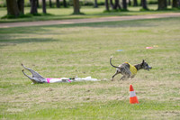 prelims Fch-Vet Arrow Wilson-7664