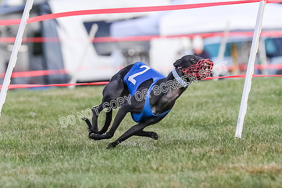 Prg 1, race 4, Rarity Hillary Barley Clyps-0642