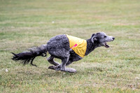 1 Prelims Pepper-1916