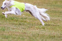 Finals Open Ripley Spiff-2678