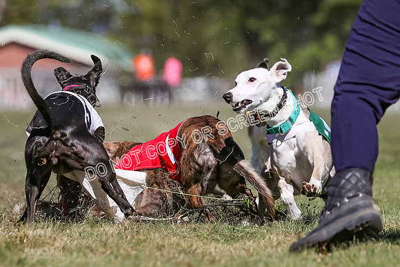 Prg 4, Race 1, Ruffian Flynn Nami Rigby Arrow Echo-0064