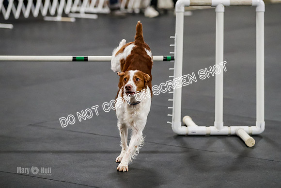 AE4I8433