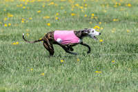 1Prelims Veterans 1 Rosa Marley Luna-1605