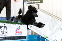 Splash 2, Friday