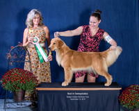 Best In Sweeps -Sunday