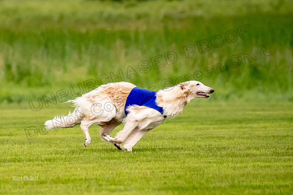 Open Prelim Bluegene Rhett Zen-0489