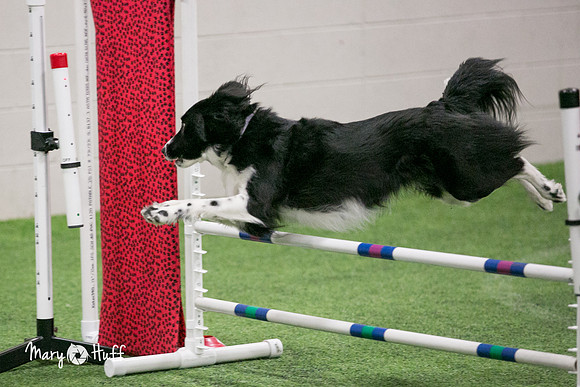 HO4A0764