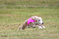 1 Prelims Open 1 AnnieOakley Fennec Zero-1246