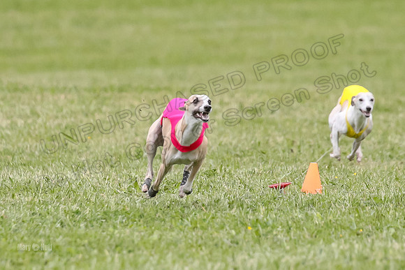 Finals Open C5, Mizuno Charlie Arlo-0784