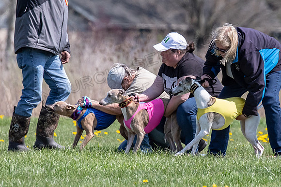 1Prelims Veterans 6 Colt TieDye Keegan-1813