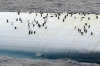 Antarctica 2005 Robert Bingham Photography