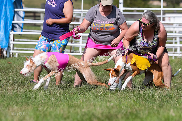 Open Prelim A2, Madyson, Razz-7609