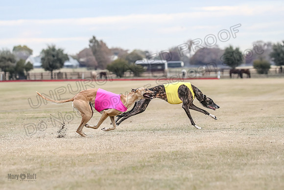 1Prelim Spec 1 Terra Bonnie-2594