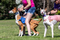 Prelims Fch 1 Ginny Willow Madyson-5424
