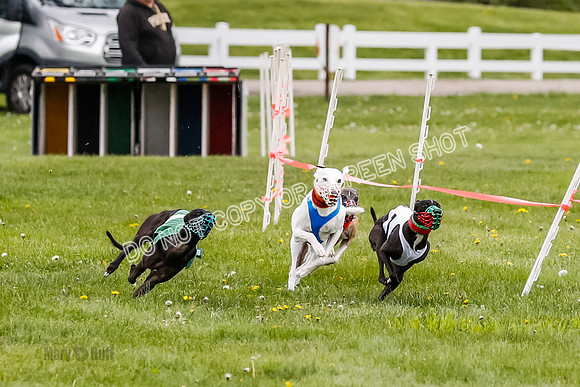 NOTRA Program 4, Race 1, Warrior Barley Flair Victor-2-12