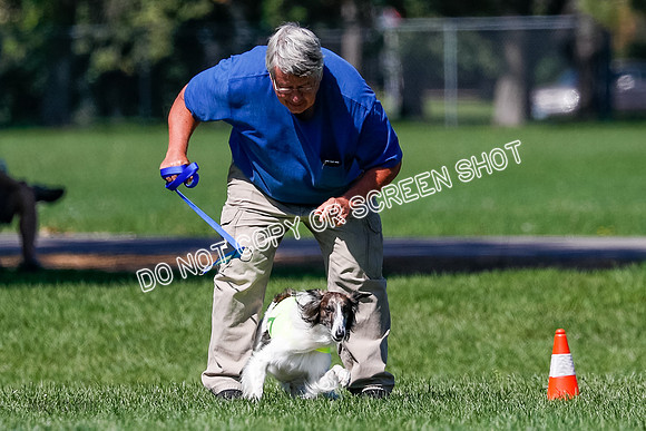 Silken Windhound Finals, Finnegan-3954