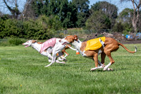 Prelims Fch 1 Ginny Willow Madyson-5446