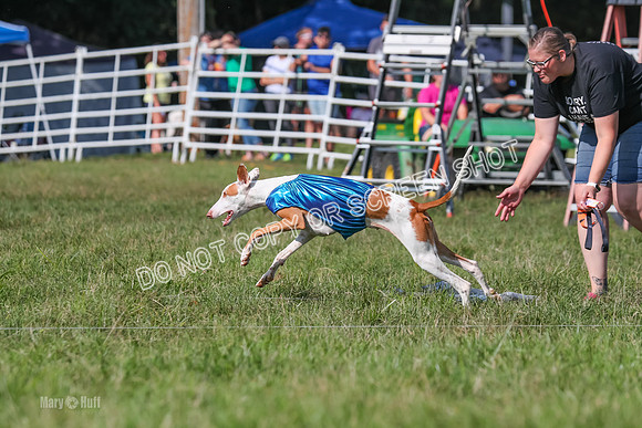 Prelim Clover-7531