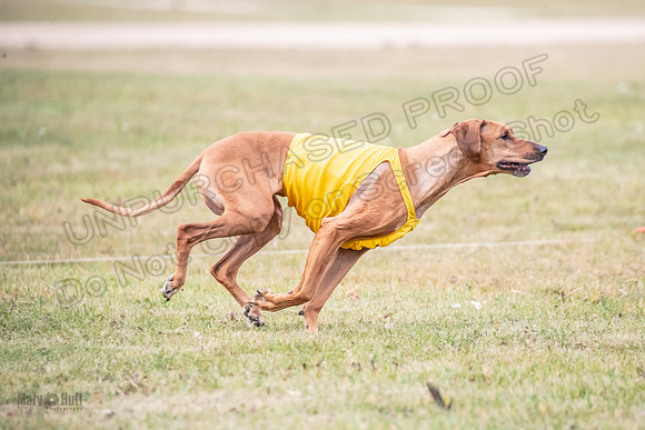 Finals Vet Libby Xena-2498