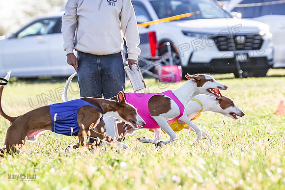 1 Prelims Open 1 Jagger Forrest Maverick-3471