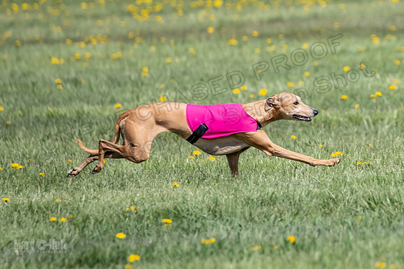 1Prelims Specials A4 Whisper Indy Crescent-1297
