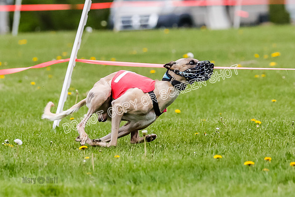 NOTRA Program 2, Race 4, Rum Moki Clyps-2-2