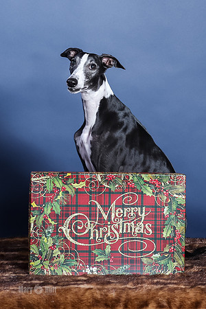 xmas Kristy-444-Edit