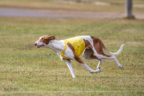 Finals Open 1 Jagger Maverick-3022
