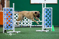 HO4A7213