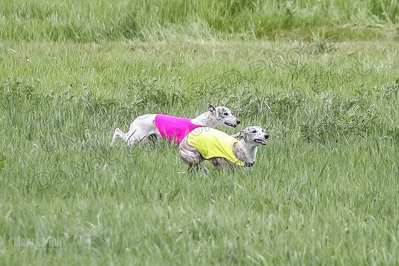 1 Prelims Open 3 Sydney Spanx Frankie-8225