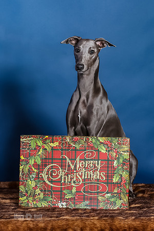 xmas Kristy-446-Edit