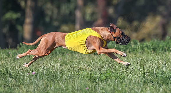 1 Prelims Open 1 Kinky Ash Zanna-4419