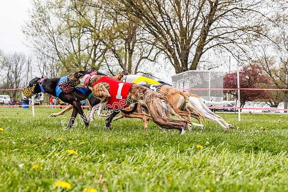 WRA, Prg 3, Race 6, Warrior Beacon Picanha Smudge Entei-9193