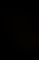 AE4I5450