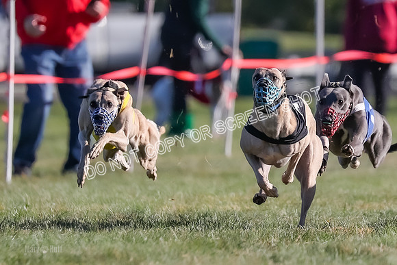 Prg 1, Race 18, Hillary Axl Chase Joplin Rum-9269