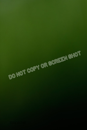 _E4I6866