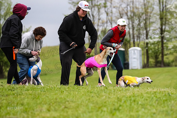 Prelims Open D1, Aubrey Player Mizuno-4299