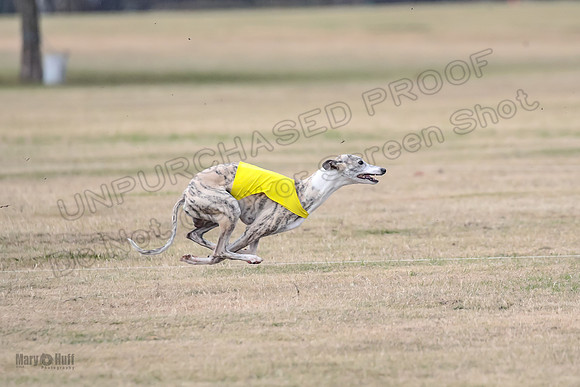 1Prelim Open 3 Eggsy Trixie Treble-3058