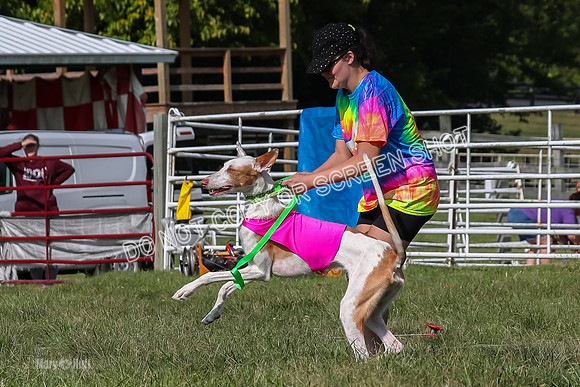 Prelims Kuiper-7447